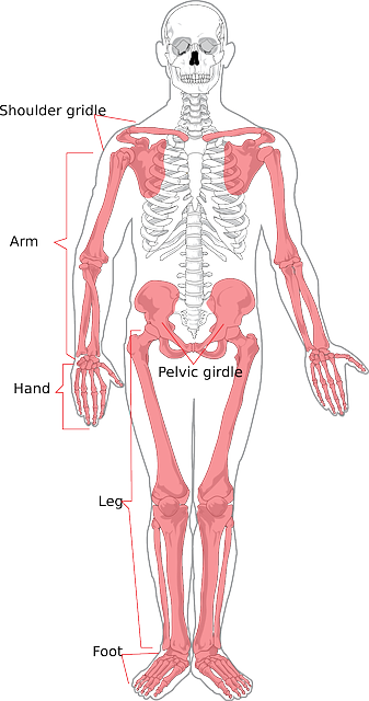 ** Trening siłowy vs. inne formy aktywności fizycznej w osteopenii/osteoporozie po leczeniu onkologicznym – co wybrać? - 17 2025