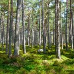 Jak zaplanować ekologiczną podróż po Polsce? Przewodnik dla świadomych turystów - 15 2025